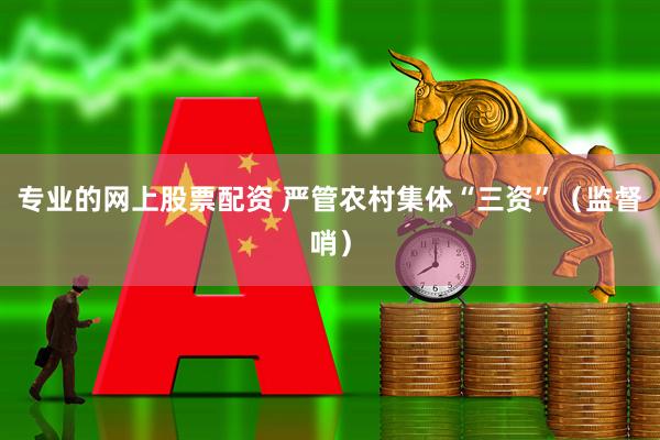专业的网上股票配资 严管农村集体“三资”（监督哨）