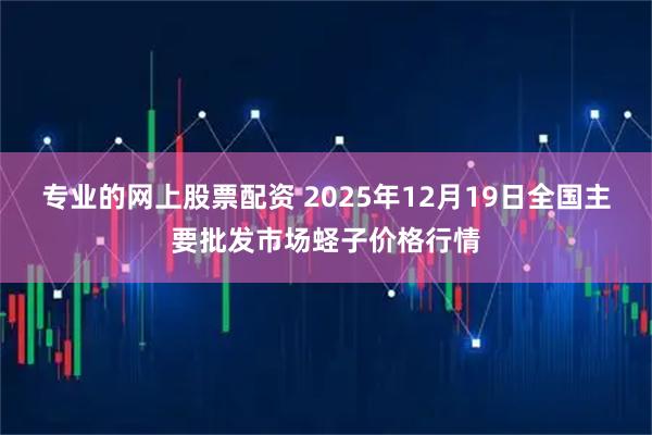 专业的网上股票配资 2025年12月19日全国主要批发市场蛏子价格行情